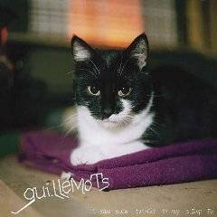 Guillemots : I Saw Such Things In My Sleep
